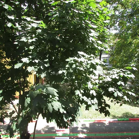 Bulhotel Green